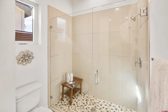 a bathroom with a shower and a toilet