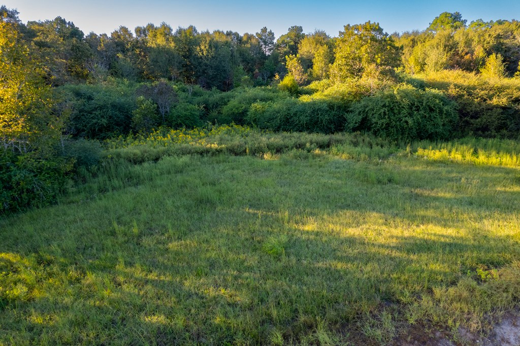 2226 Randall Wade Road Headland, AL 36345 - Photo 19 of 60