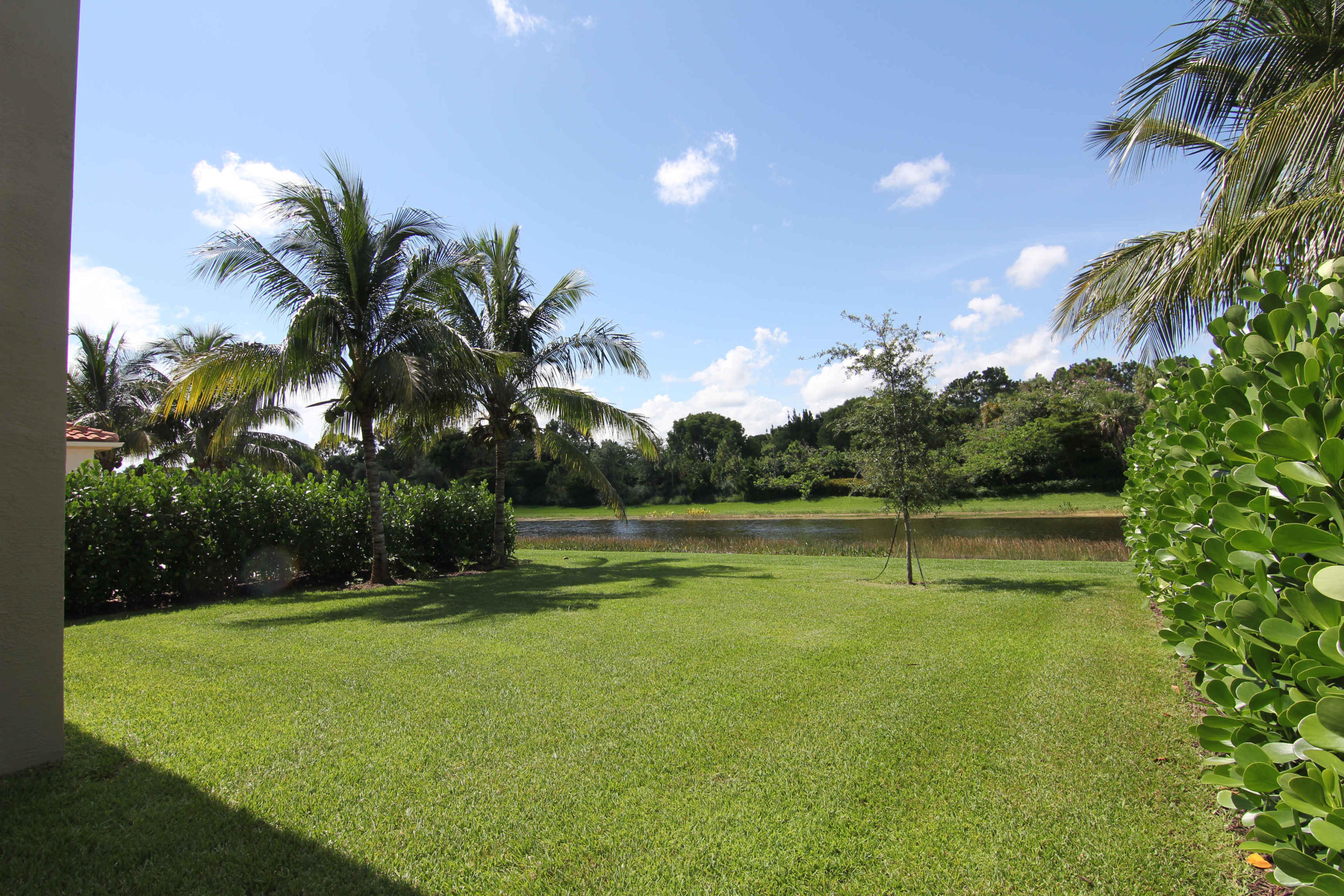 Extra Deep Rear Yard