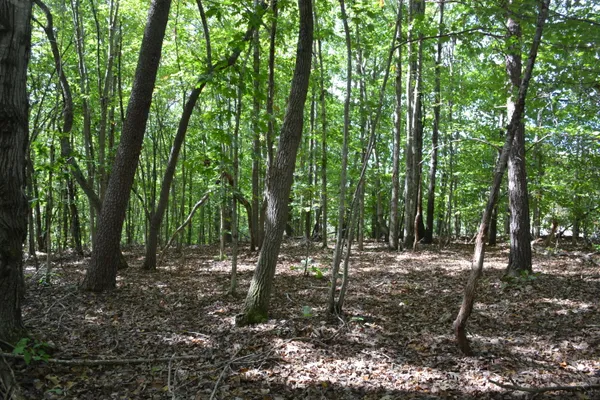 $90,900 | 0 Sun Dance Drive, Lynchburg, VA 24504