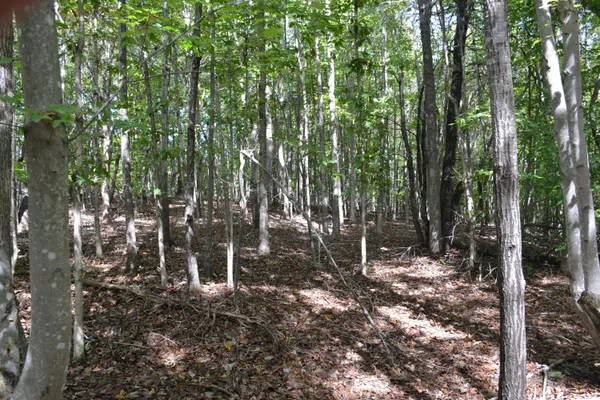 $90,900 | 0 Sun Dance Drive, Lynchburg, VA 24504