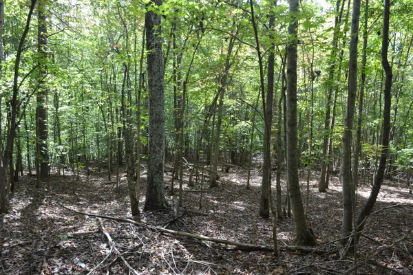 $90,900 | 0 Sun Dance Drive, Lynchburg, VA 24504