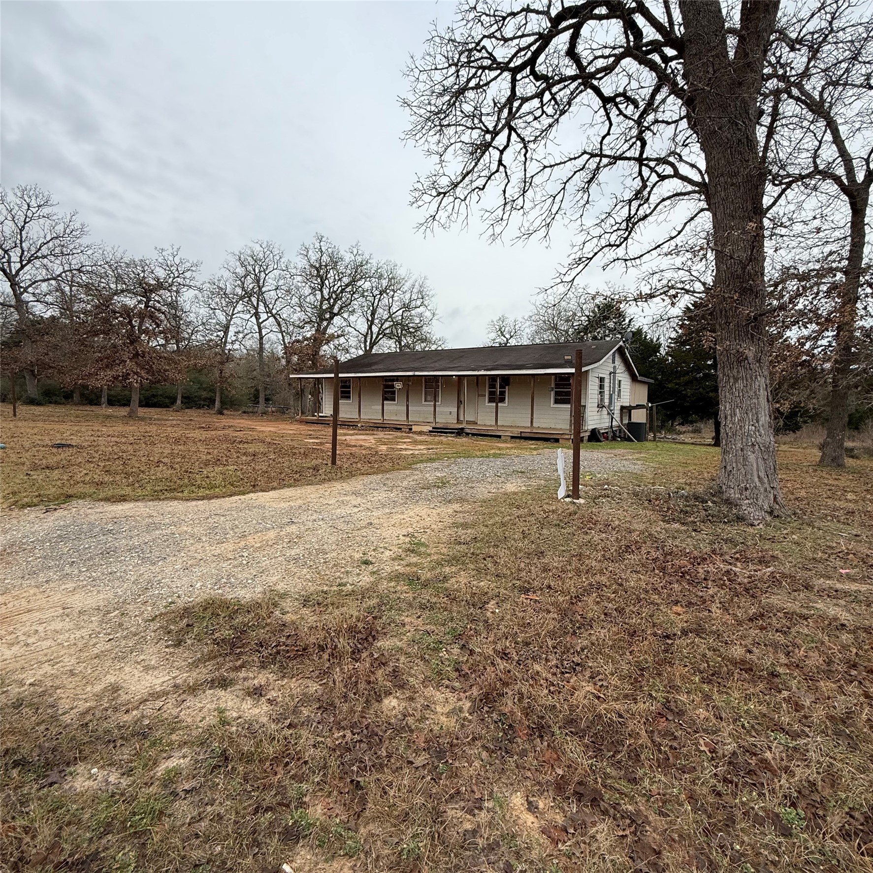 26113 Tyler Park Road Bedias, TX 77831 - Photo 1 of 24 a view of a house with backyard and trees