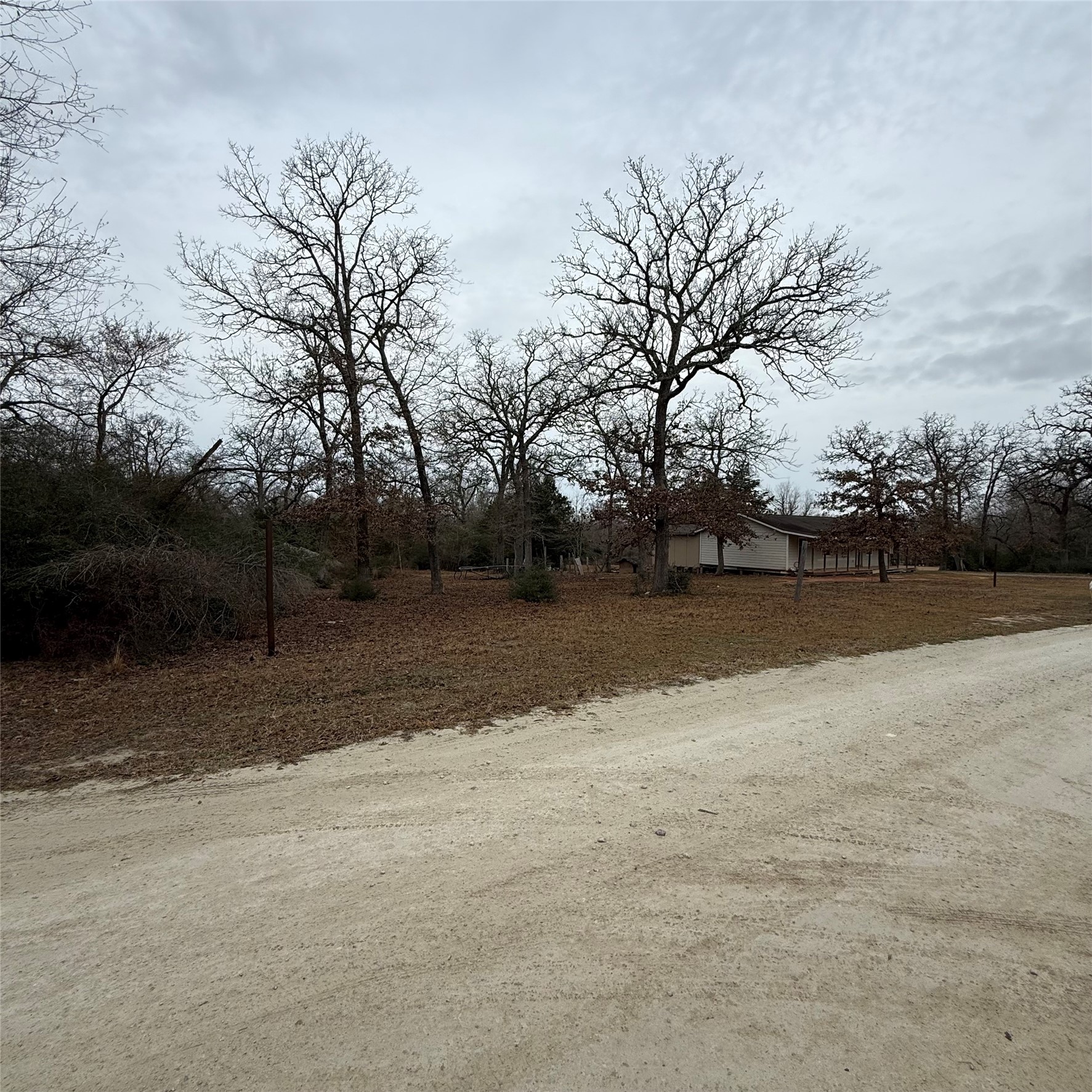 26113 Tyler Park Road Bedias, TX 77831 - Photo 13 of 24 a backyard of a house