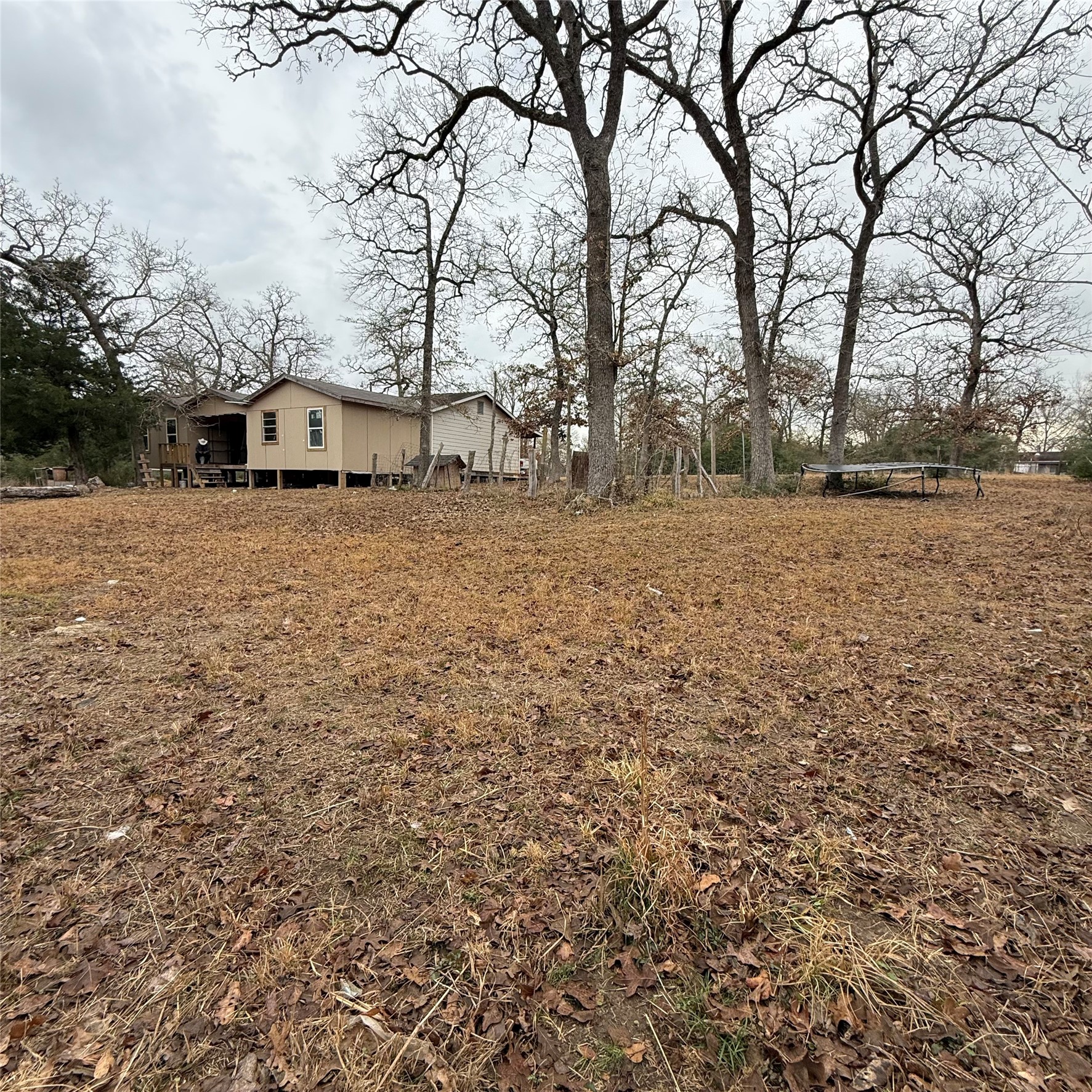 26113 Tyler Park Road Bedias, TX 77831 - Photo 19 of 24 a dirt road with large trees