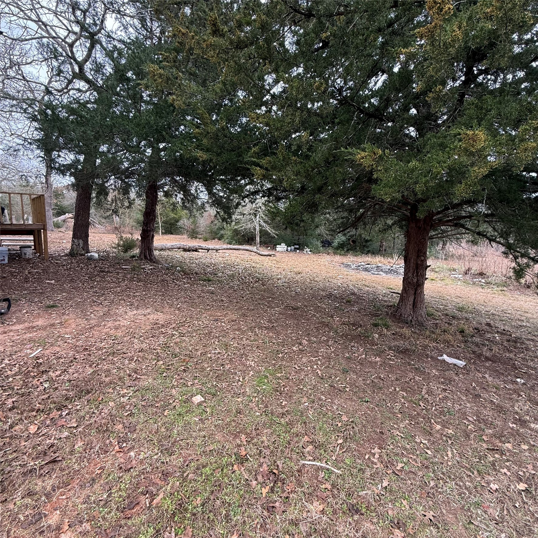 26113 Tyler Park Road Bedias, TX 77831 - Photo 20 of 24 a view of a tree in the middle of a yard
