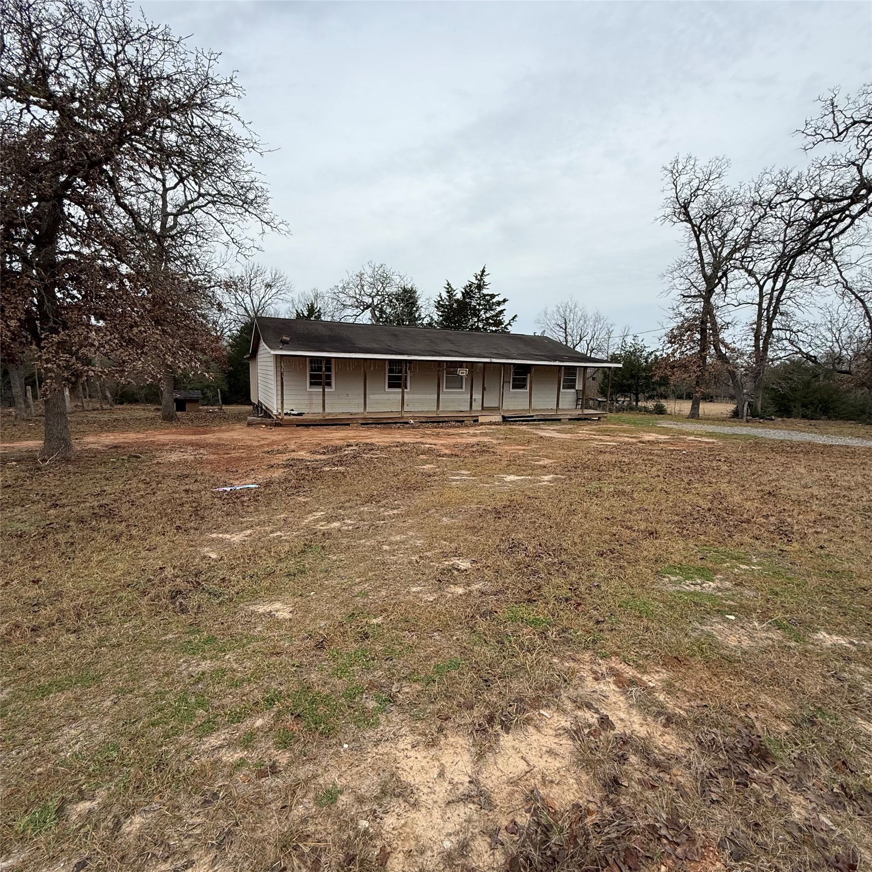 26113 Tyler Park Road Bedias, TX 77831 - Photo 2 of 24 a view of house with yard and trees in the background