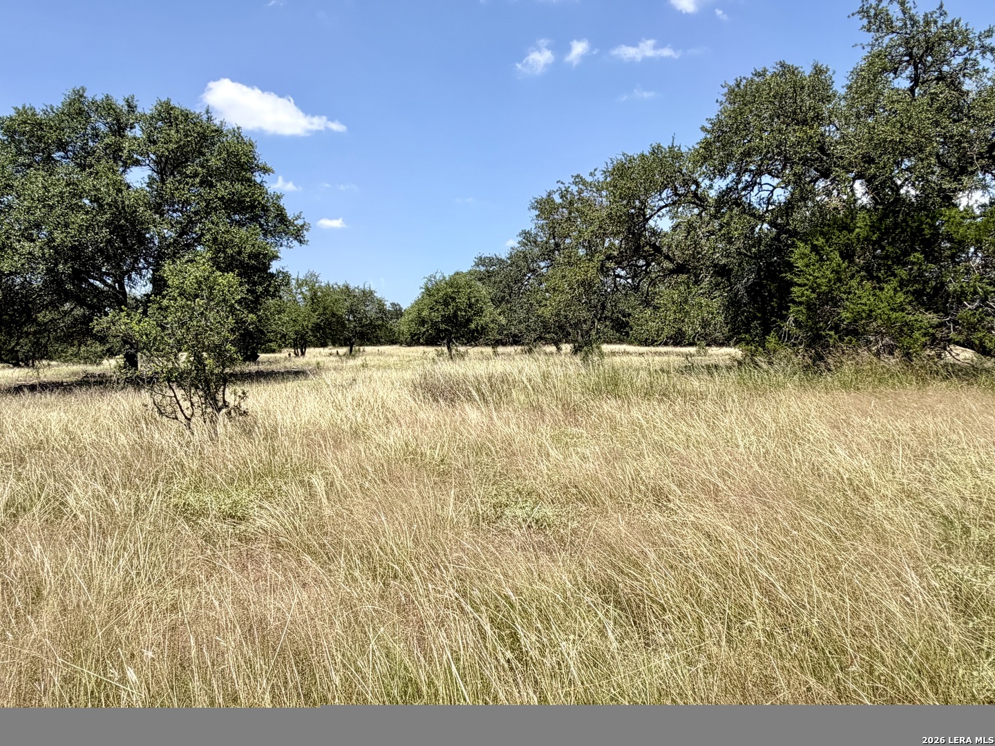 43-acres Sattler Road Spring Branch, TX 78070 - Photo 10 of 42 Gallery Image 10