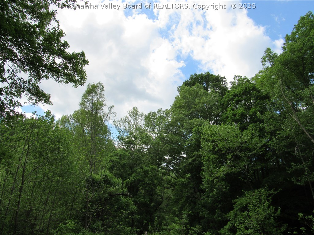0 2nd Creek Road Kenna, WV 25248 - Photo 40 of 47 Gallery Image 40