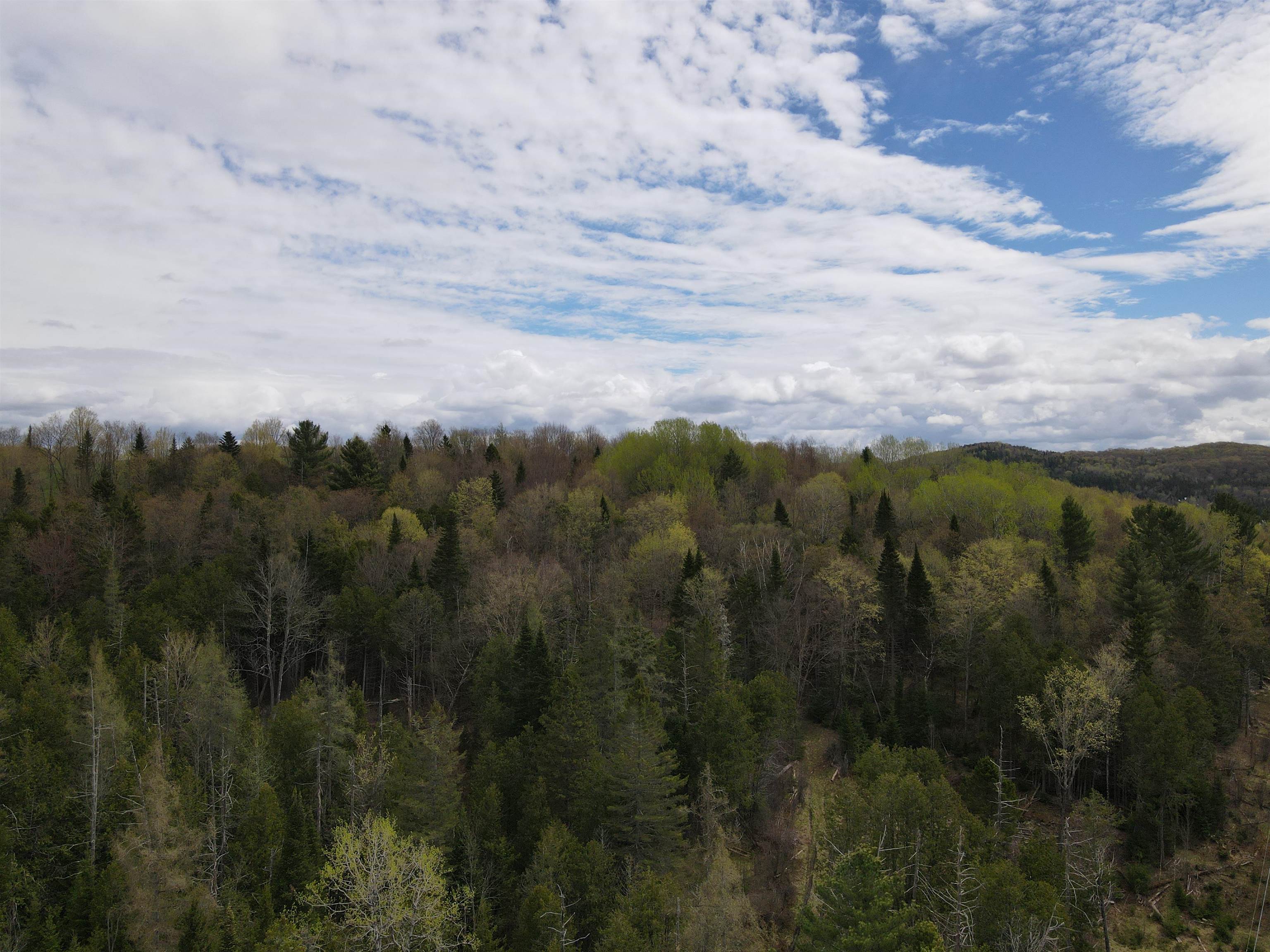 278 King Road Glover, VT 05875 - Photo 13 of 27