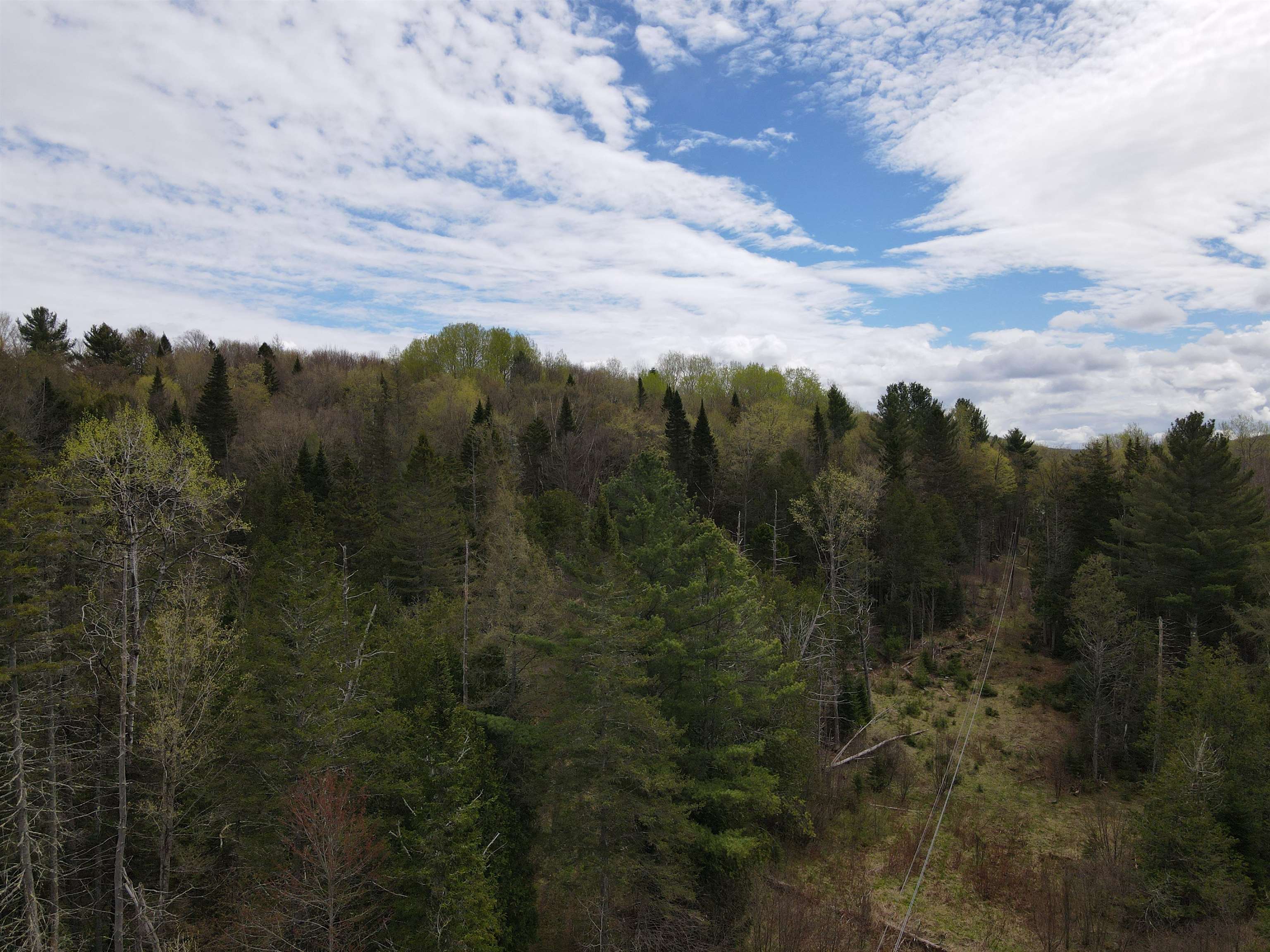 278 King Road Glover, VT 05875 - Photo 14 of 27