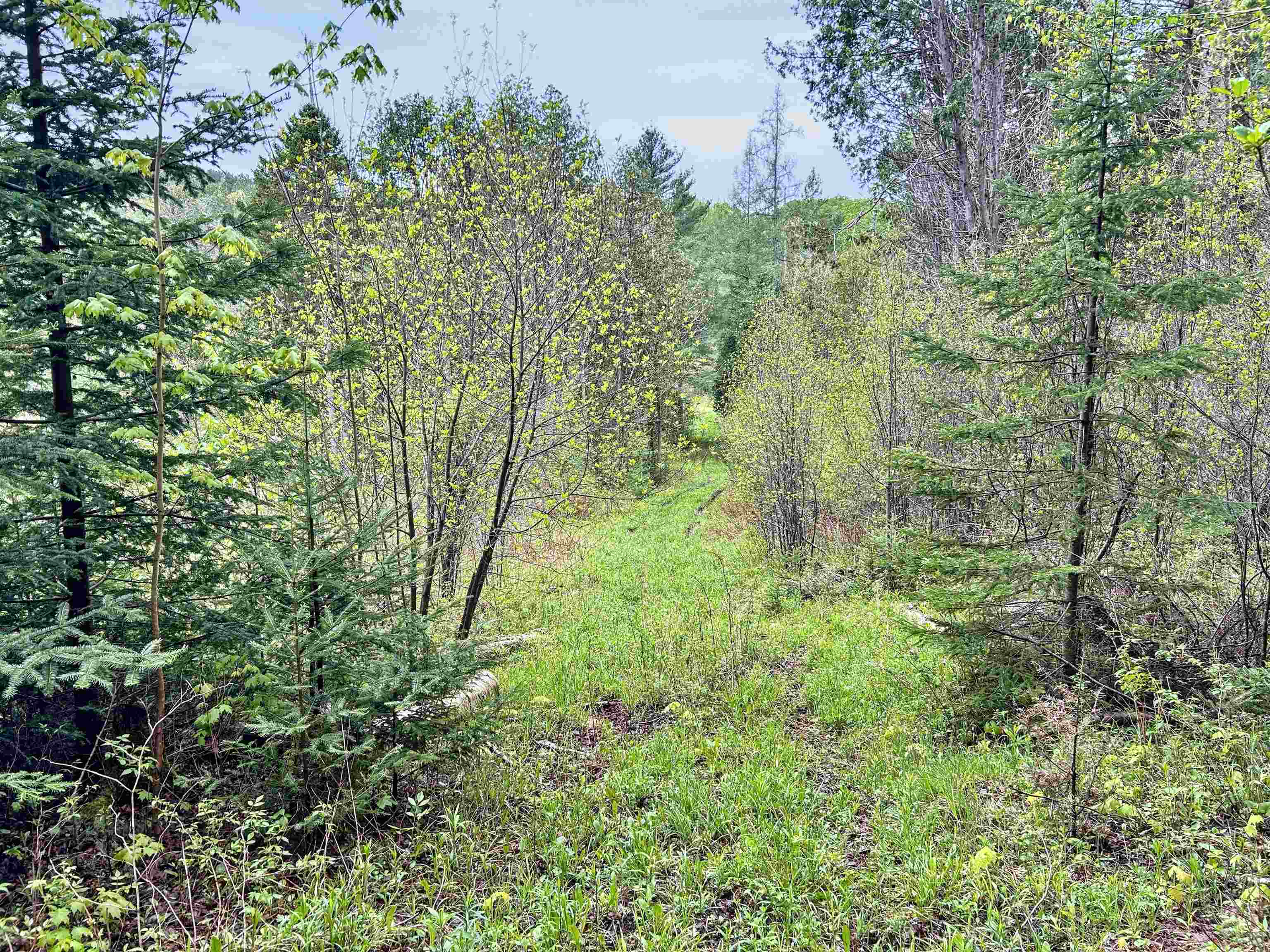 278 King Road Glover, VT 05875 - Photo 19 of 27