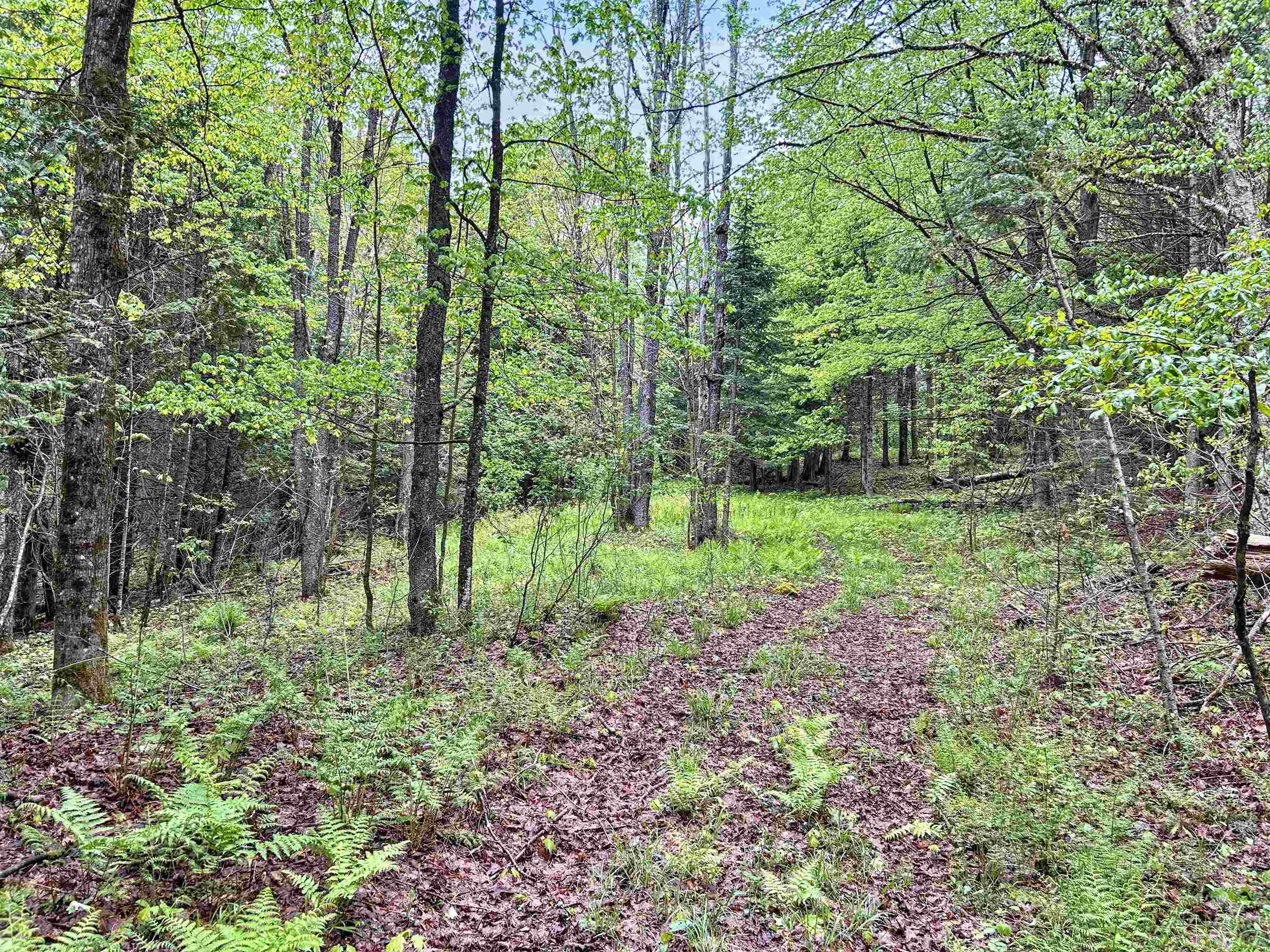 278 King Road Glover, VT 05875 - Photo 20 of 27