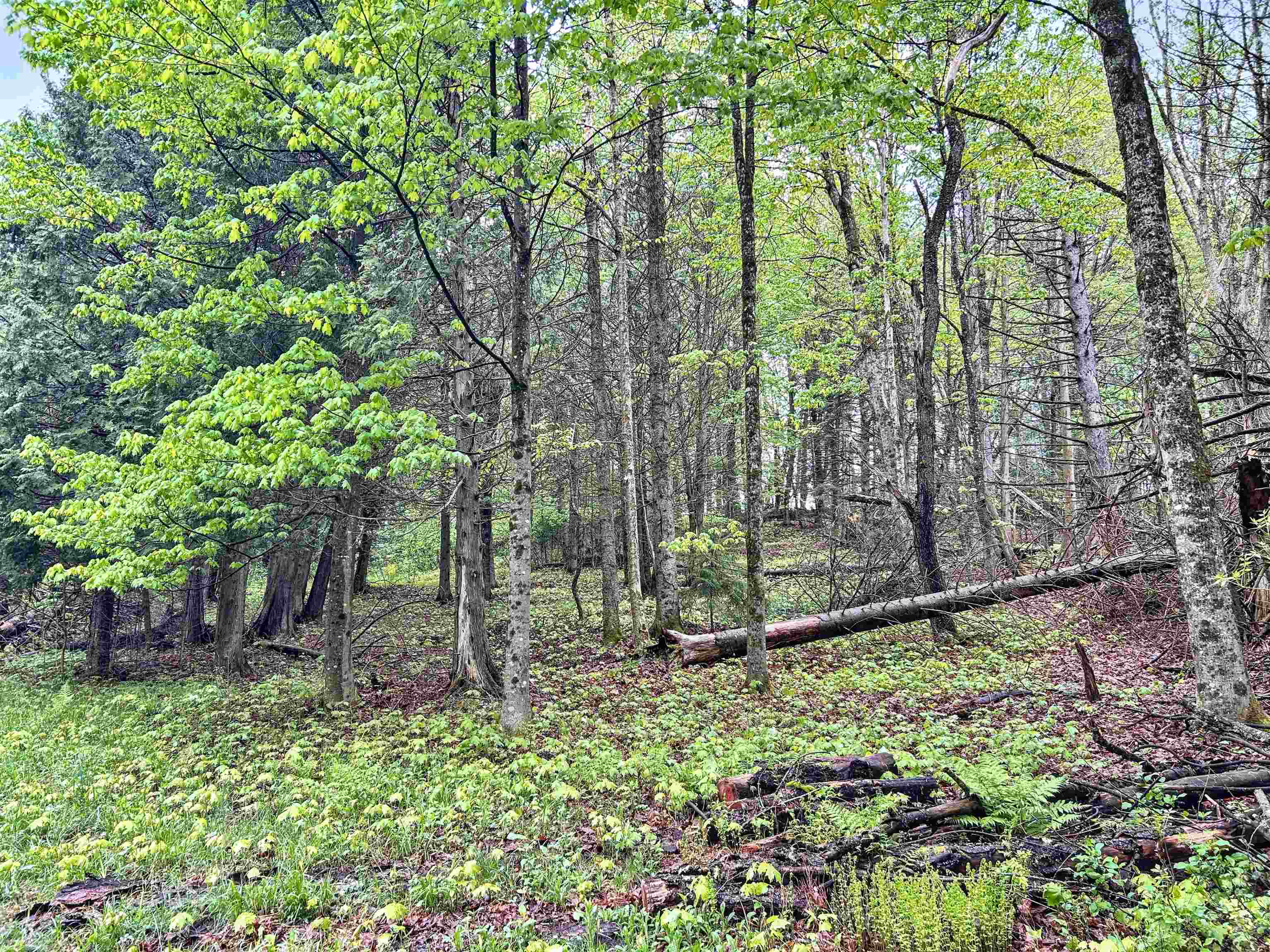 278 King Road Glover, VT 05875 - Photo 21 of 27