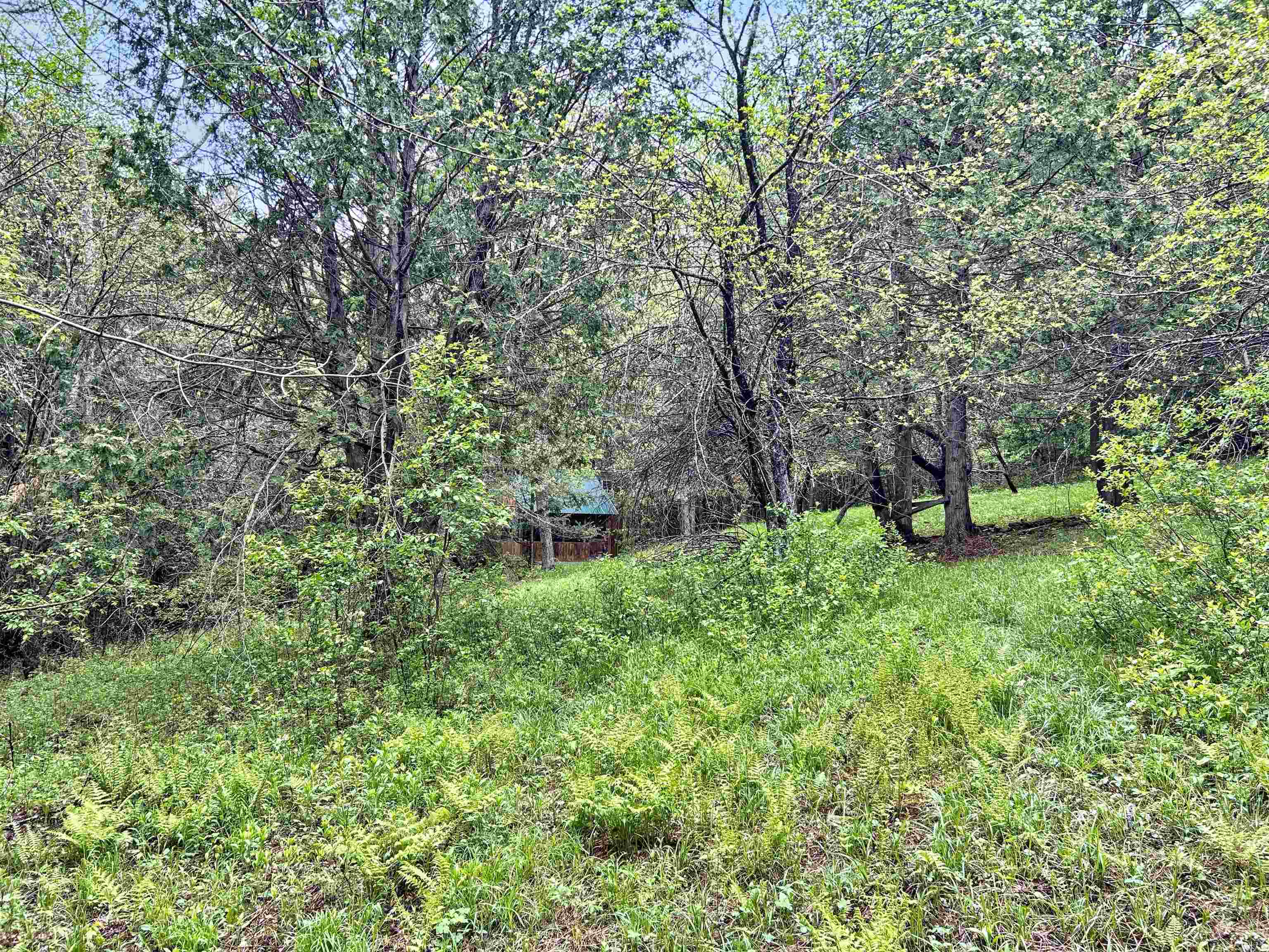 278 King Road Glover, VT 05875 - Photo 22 of 27