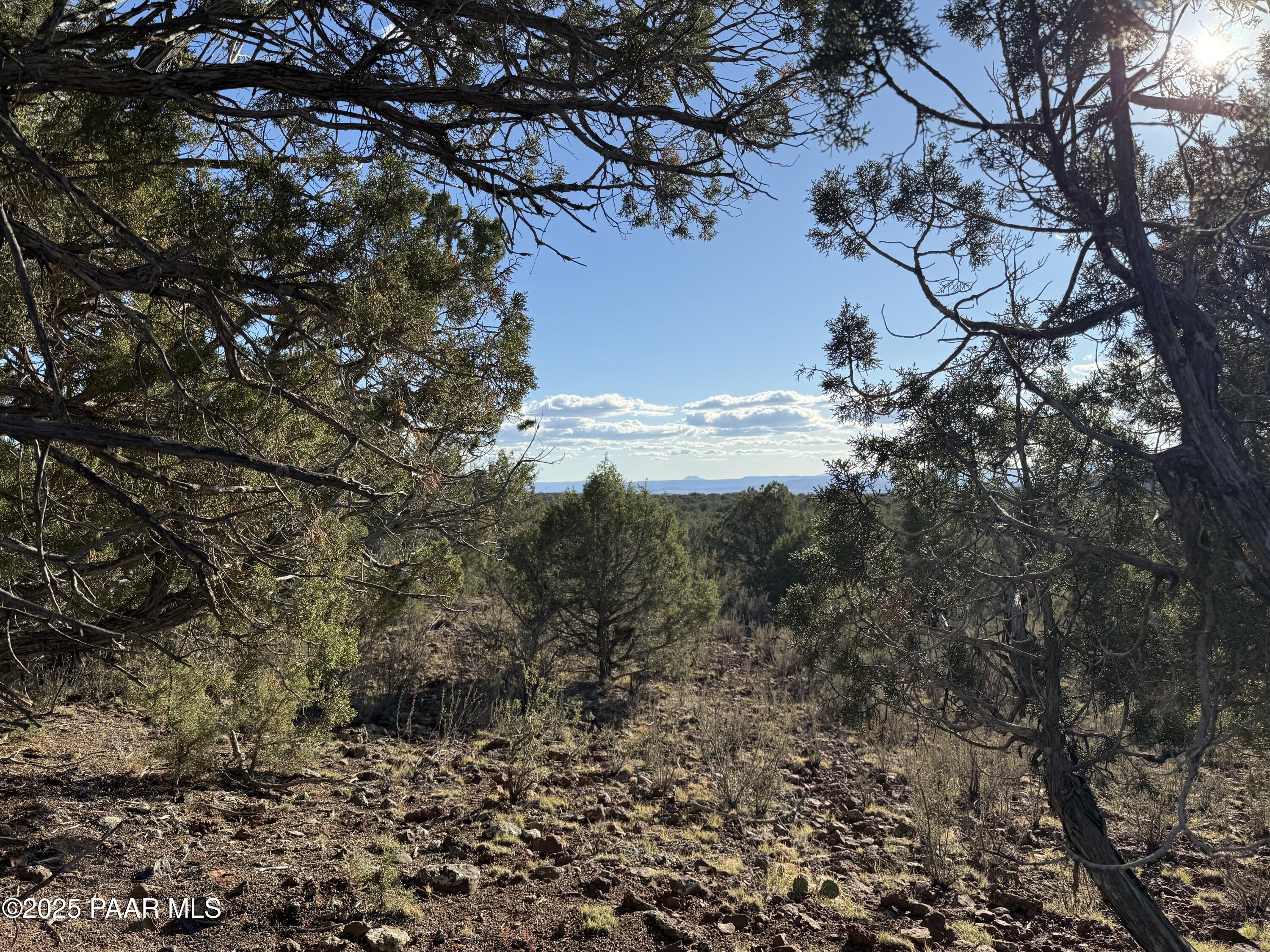 17375 Beale Wagon Road Williams, AZ 86046 - Photo 25 of 31 IMG_9815