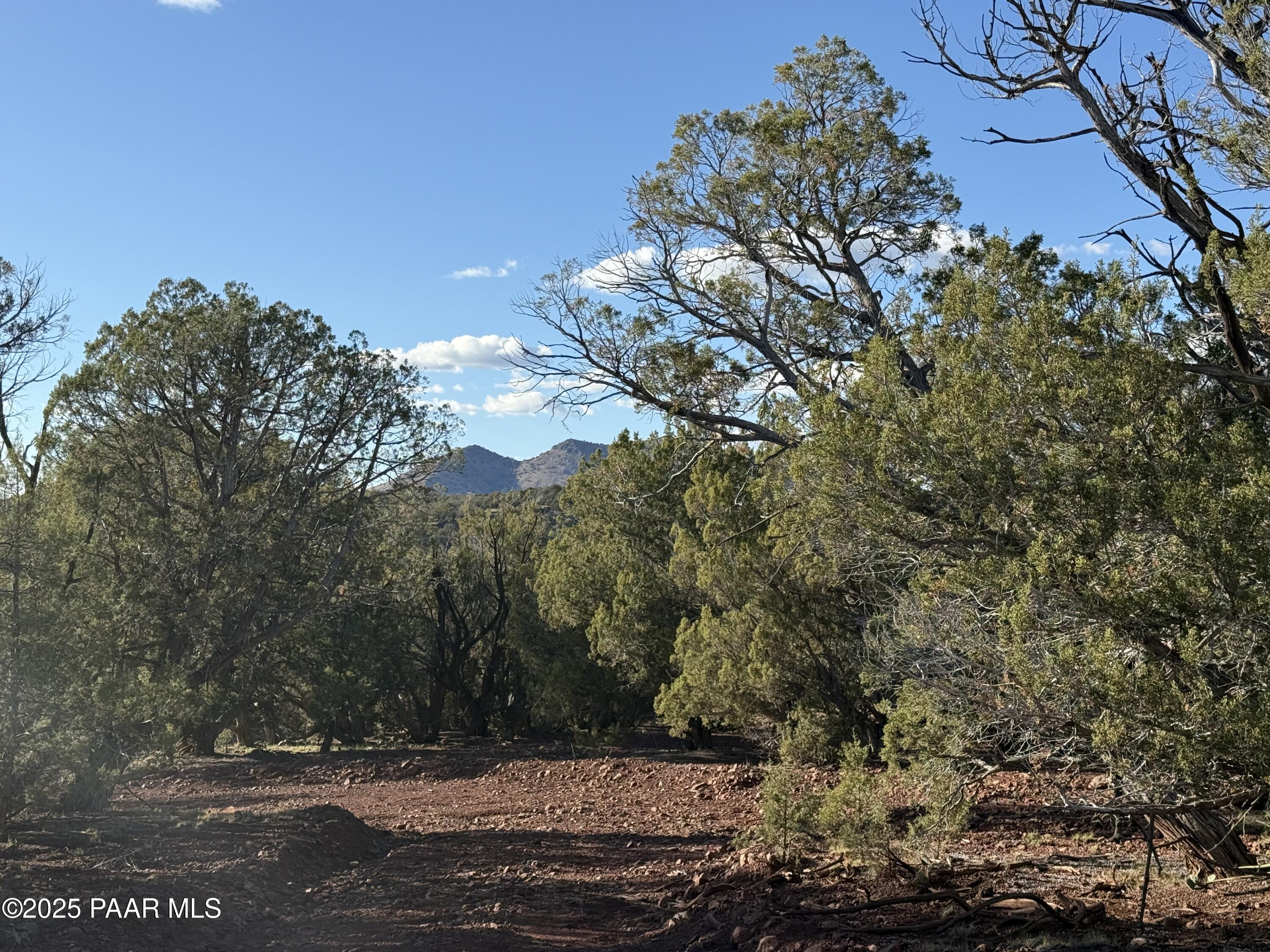 17375 Beale Wagon Road Williams, AZ 86046 - Photo 27 of 31 IMG_9829