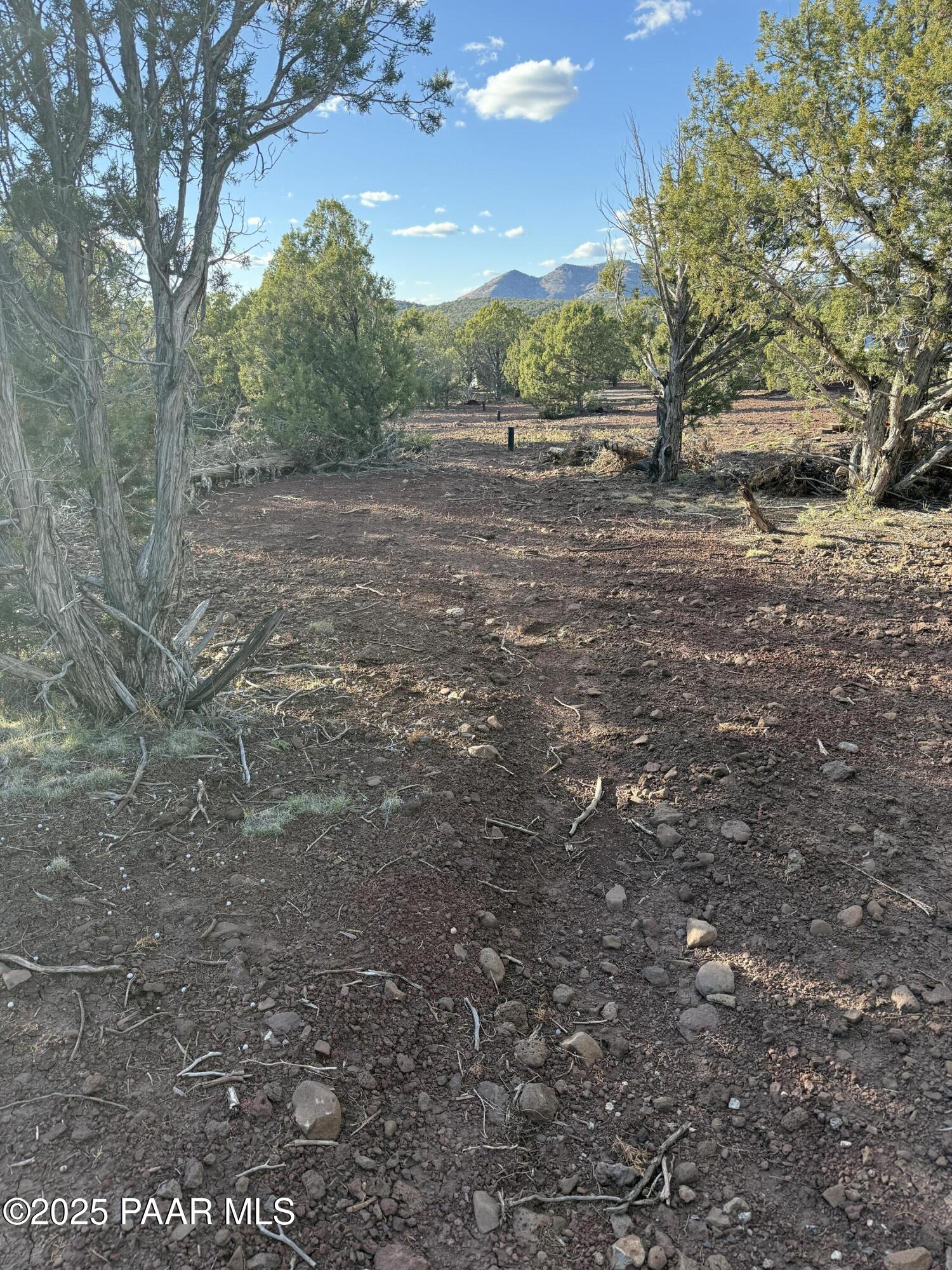 17375 Beale Wagon Road Williams, AZ 86046 - Photo 29 of 31 IMG_9847