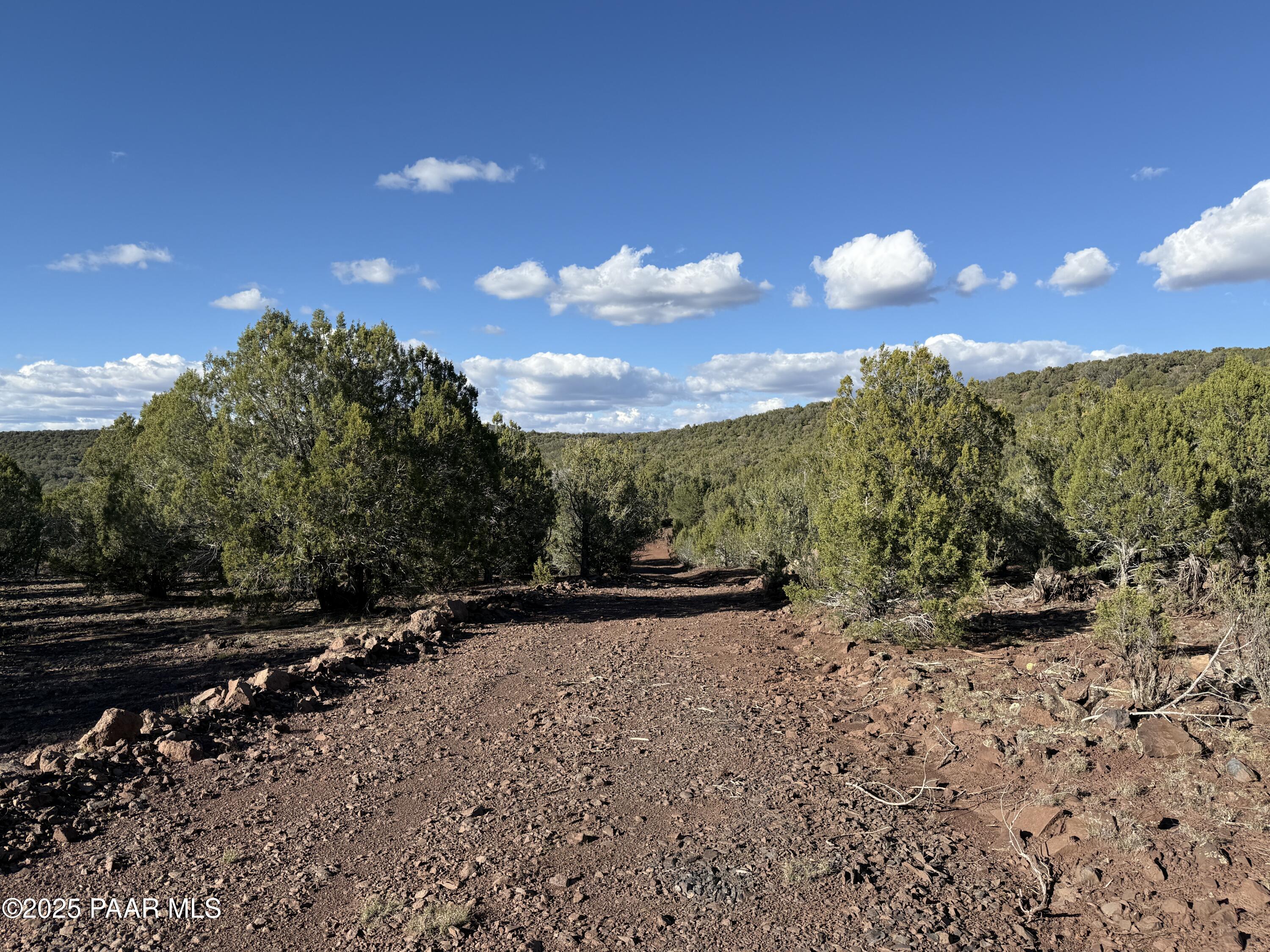 17375 Beale Wagon Road Williams, AZ 86046 - Photo 3 of 31 IMG_9802