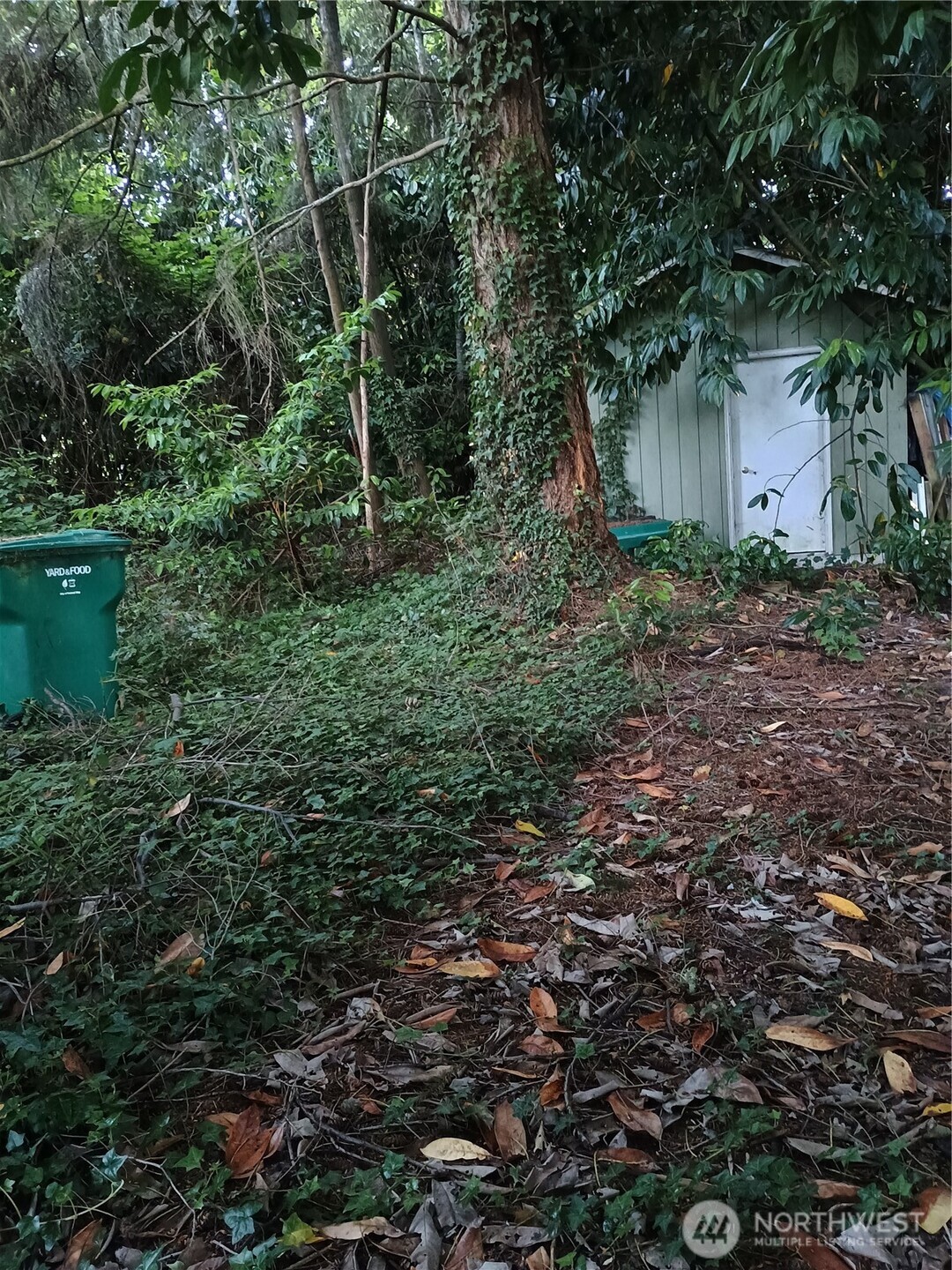 29735 3rd Avenue South Federal Way, WA 98003 - Photo 11 of 16