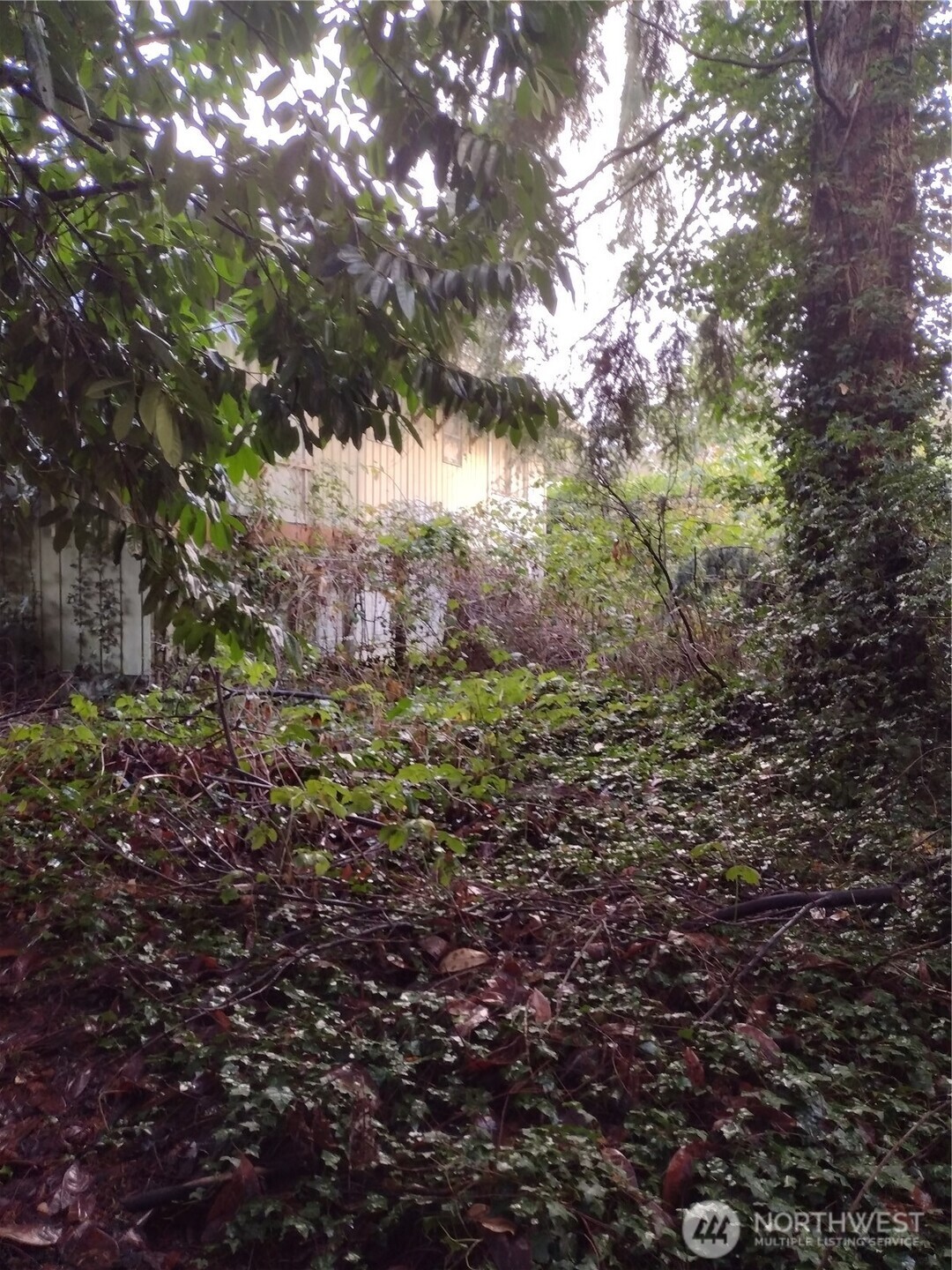 29735 3rd Avenue South Federal Way, WA 98003 - Photo 5 of 16