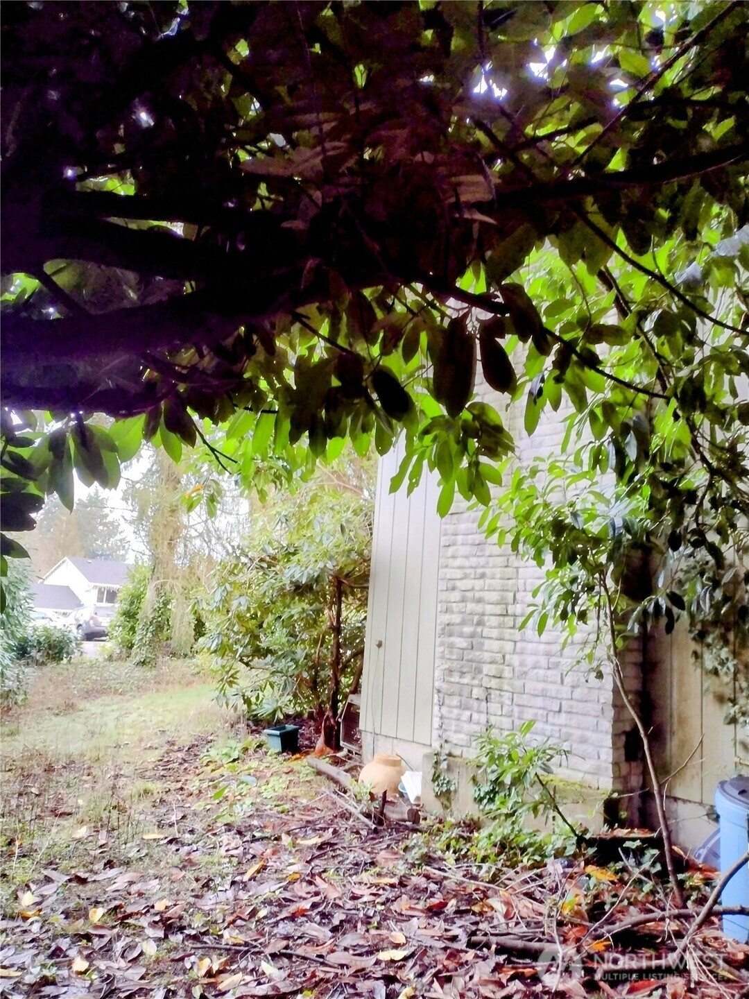 29735 3rd Avenue South Federal Way, WA 98003 - Photo 7 of 16