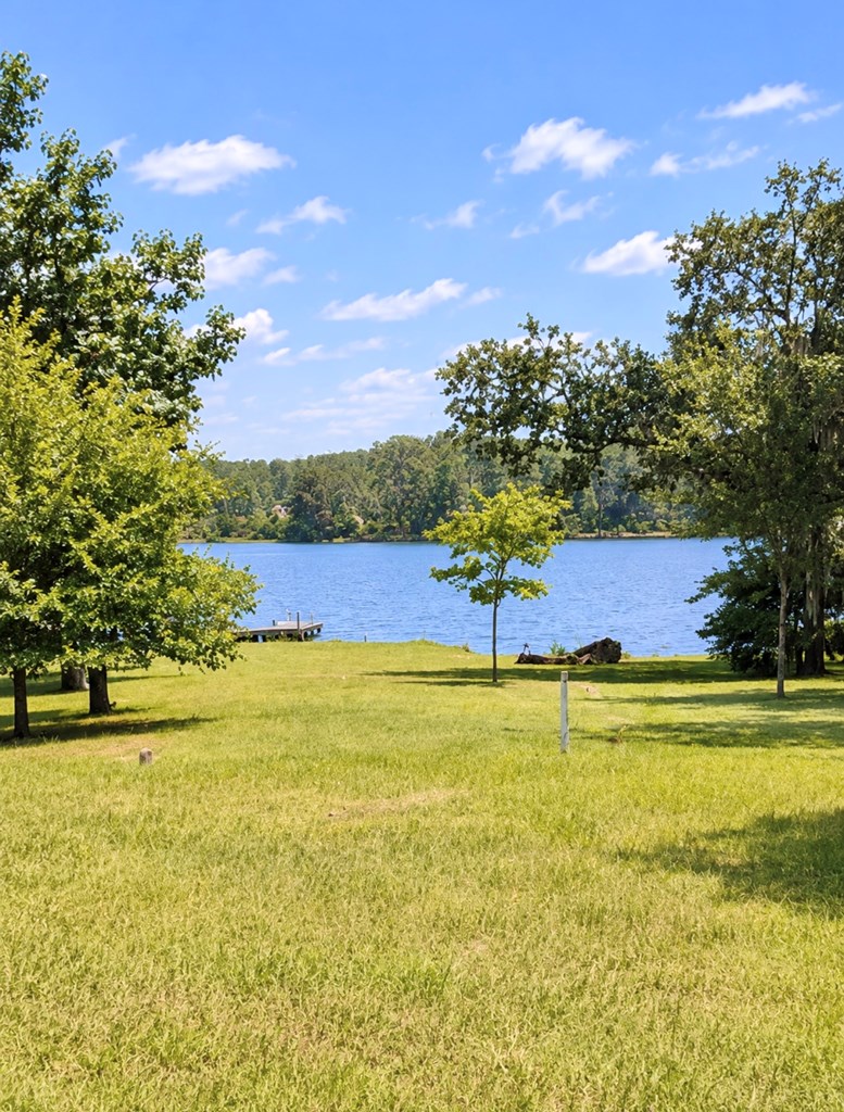 97 County Road 97 Abbeville, AL 36310 - Photo 5 of 14