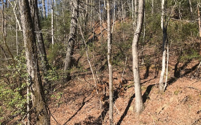 Lot65 Crestview Way Murphy, NC 28906 - Photo 3 of 4 Additional View