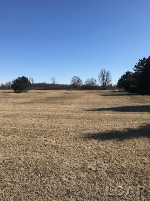 North County Line Road Deerfield, MI 49238 - Photo 2 of 2
