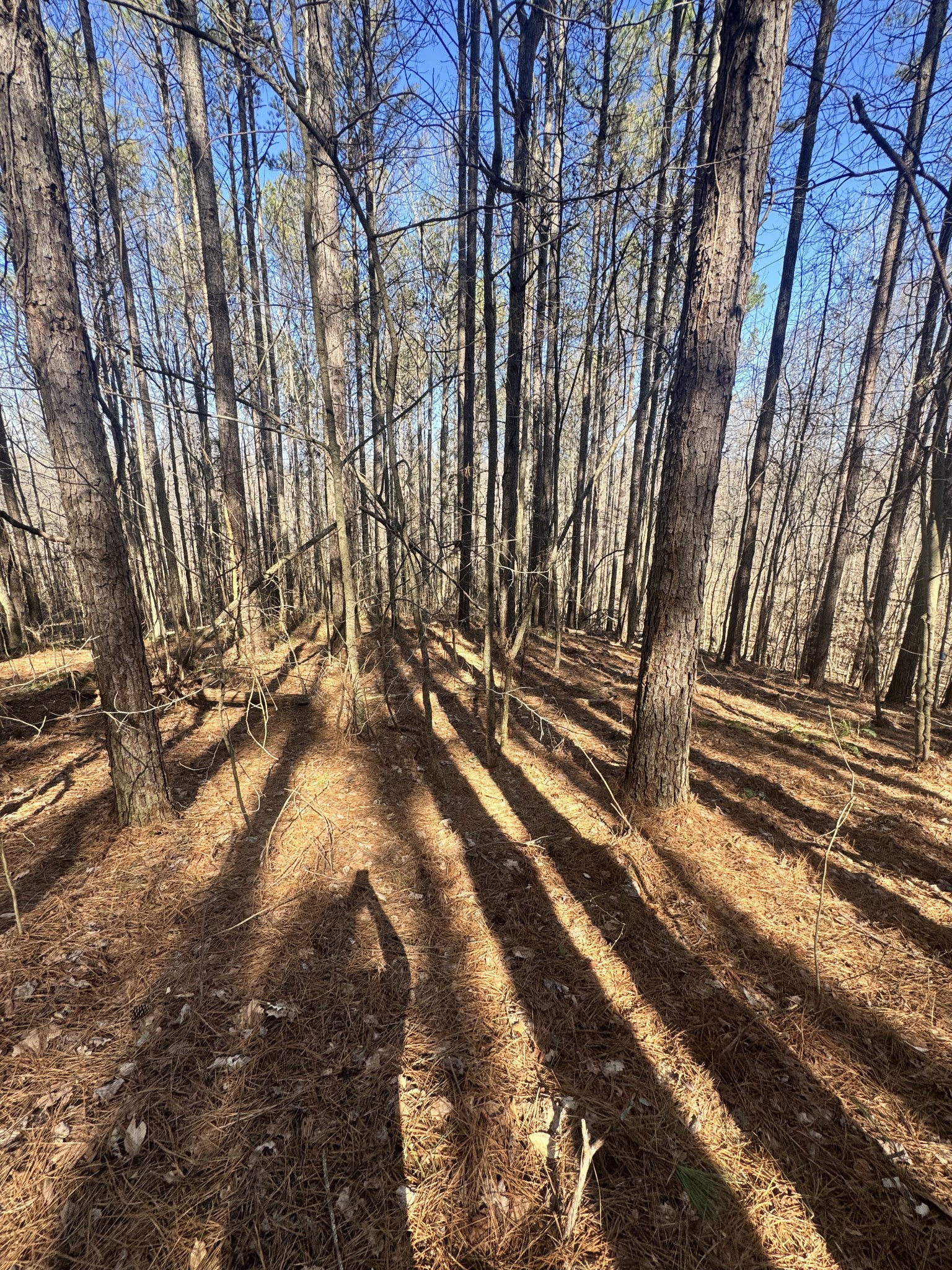 0 Allen Bend Road Smithville, TN 37166 - Photo 13 of 18 a view of backyard with wooden fence