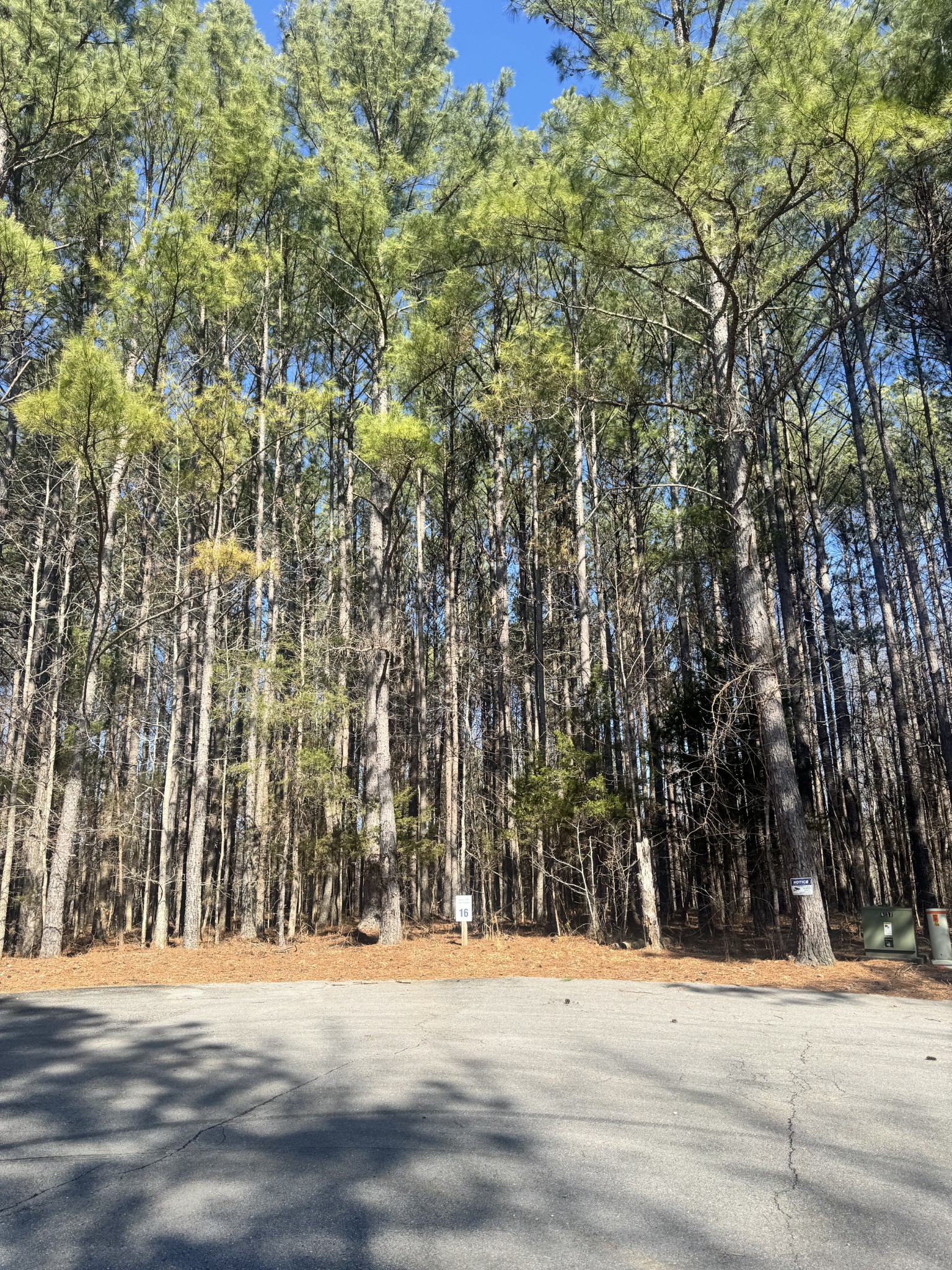 0 Allen Bend Road Smithville, TN 37166 - Photo 5 of 18 a view of road and trees