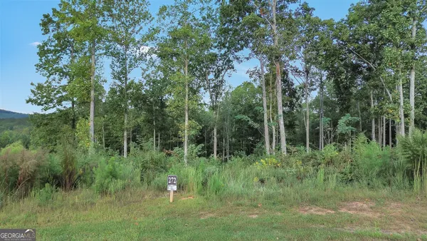 a view of outdoor space and green field