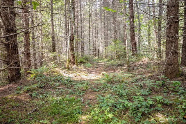 a view of outdoor space with garden
