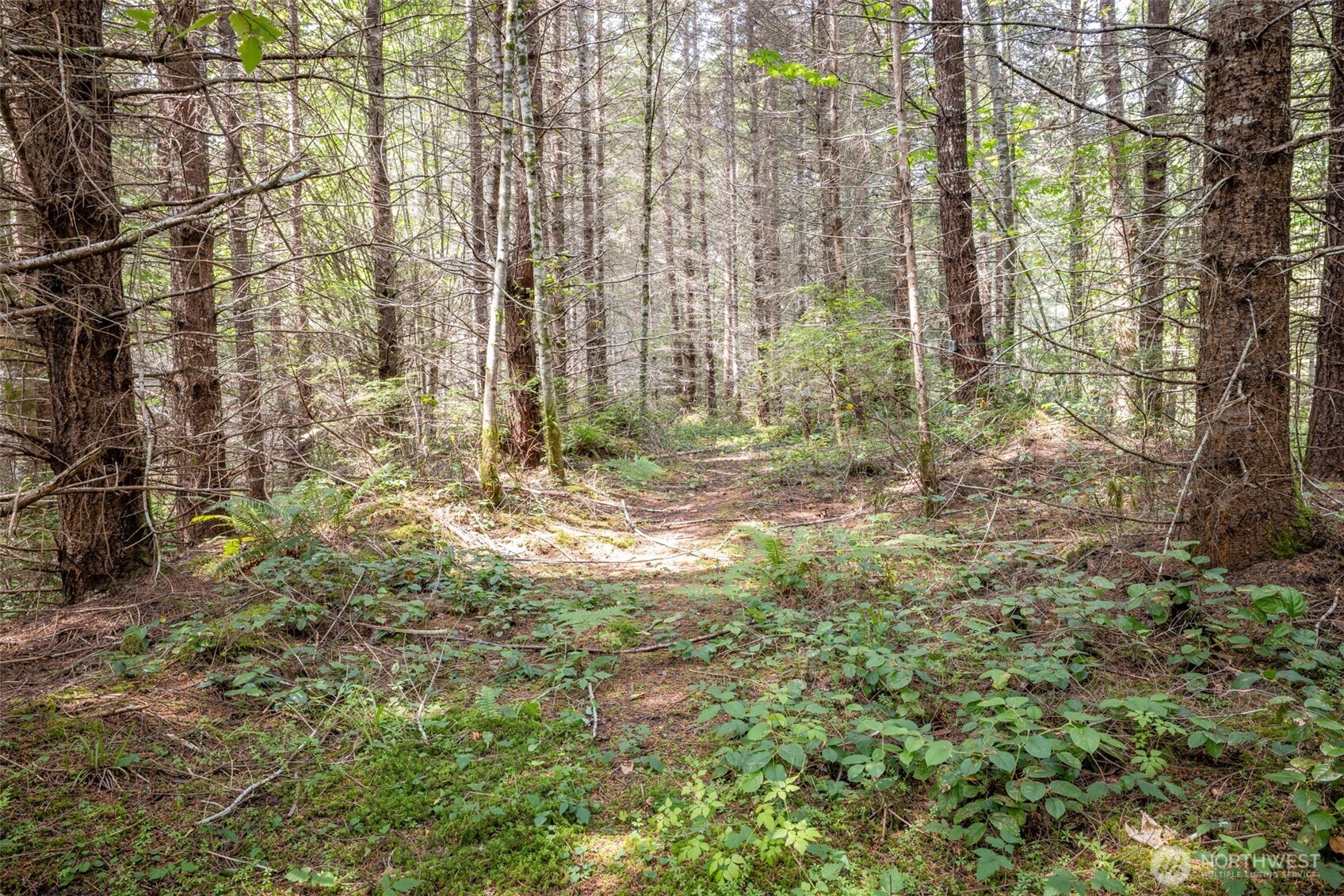 a view of outdoor space with garden