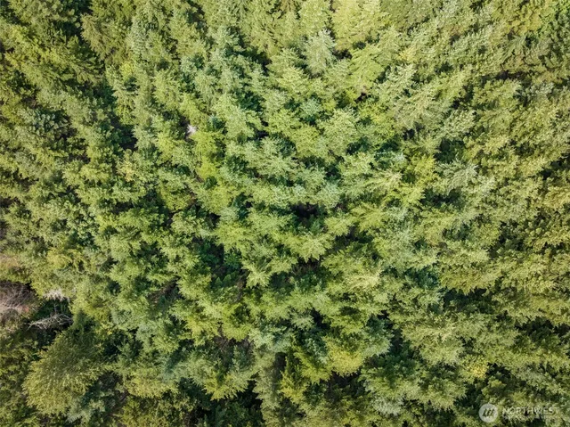 a view of a large yard with lots of green space