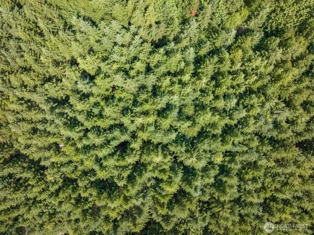 a view of lake with mountain