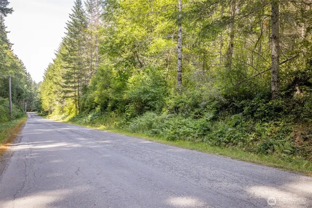 a view of a yard with a trees