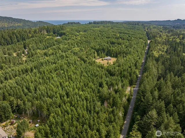 a view of a lush green forest with trees and houses