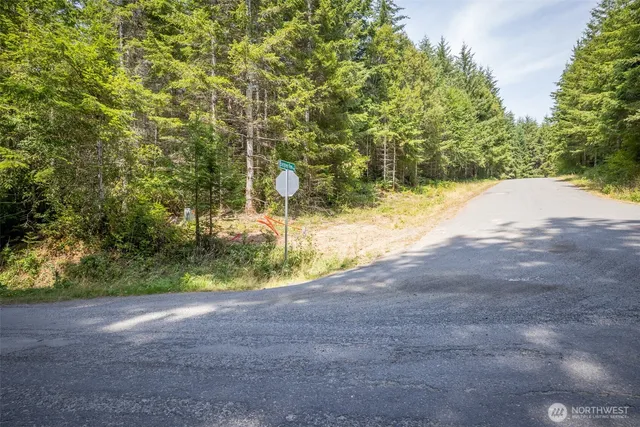 a view of a yard with plants and trees