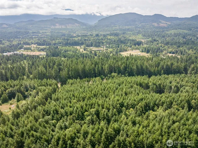 a view of a lush green hillside and a houses