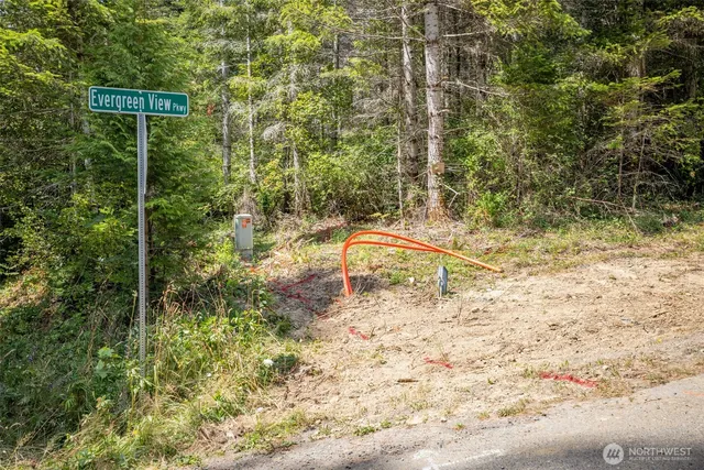 a close up of a plant in a garden