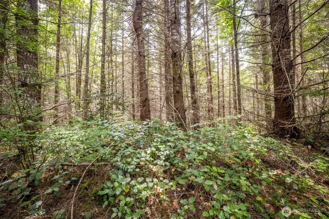 a view of a house with a patio
