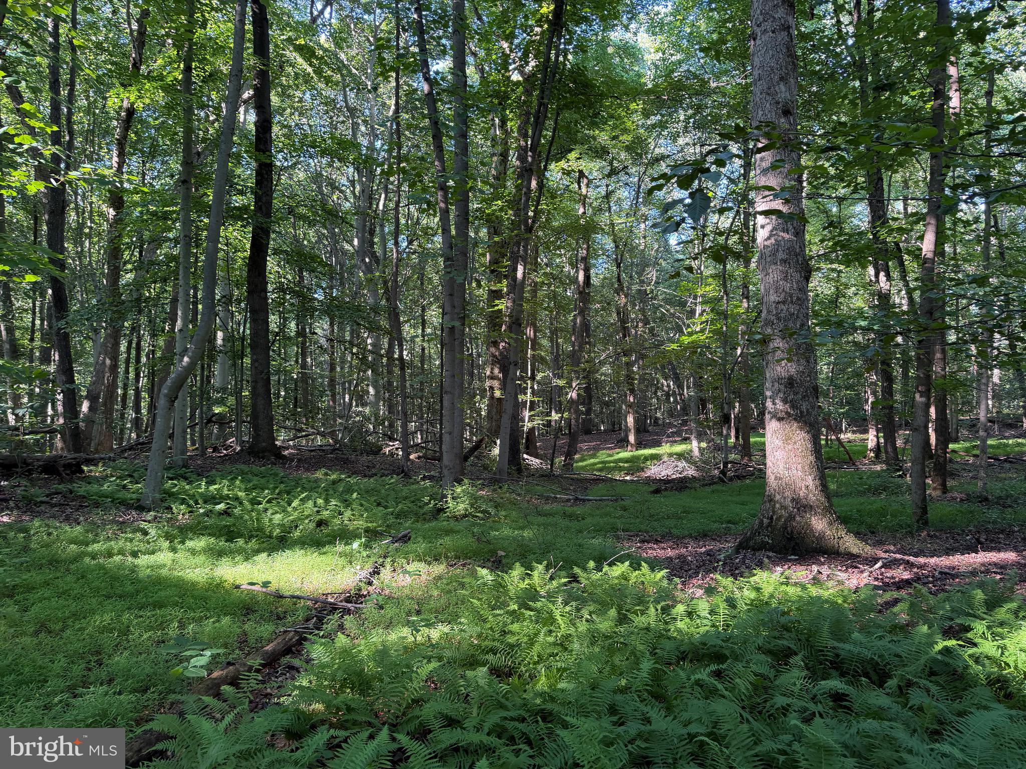 0 Rock Springs Road Conowingo, MD 21918 - Photo 59 of 79