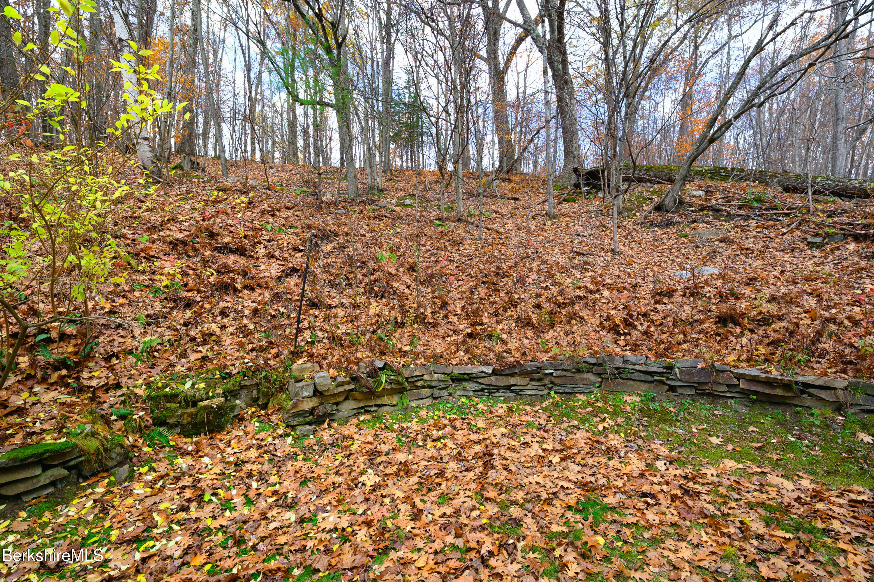 363 Henderson Road Williamstown, MA 01267 - Photo 8 of 24 a backyard of a house with lots of green space