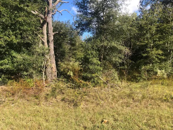 $12,500 | 0 Dawn Avenue, Interlachen, FL 32148
