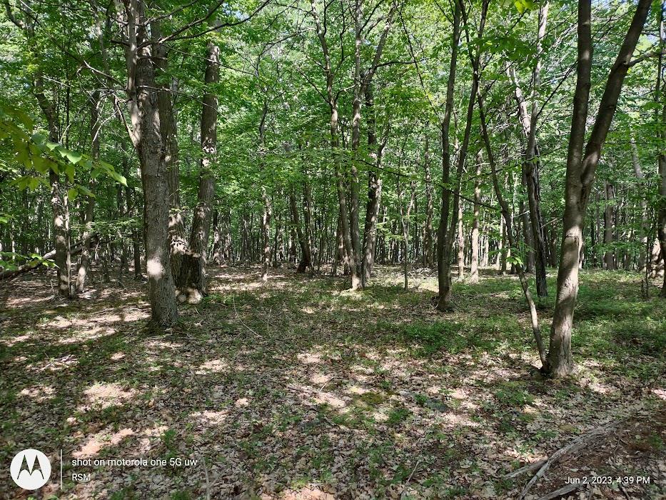 20803 Laurel Mountain Road Three Springs, PA 17264 - Photo 7 of 44 Gallery Image 7