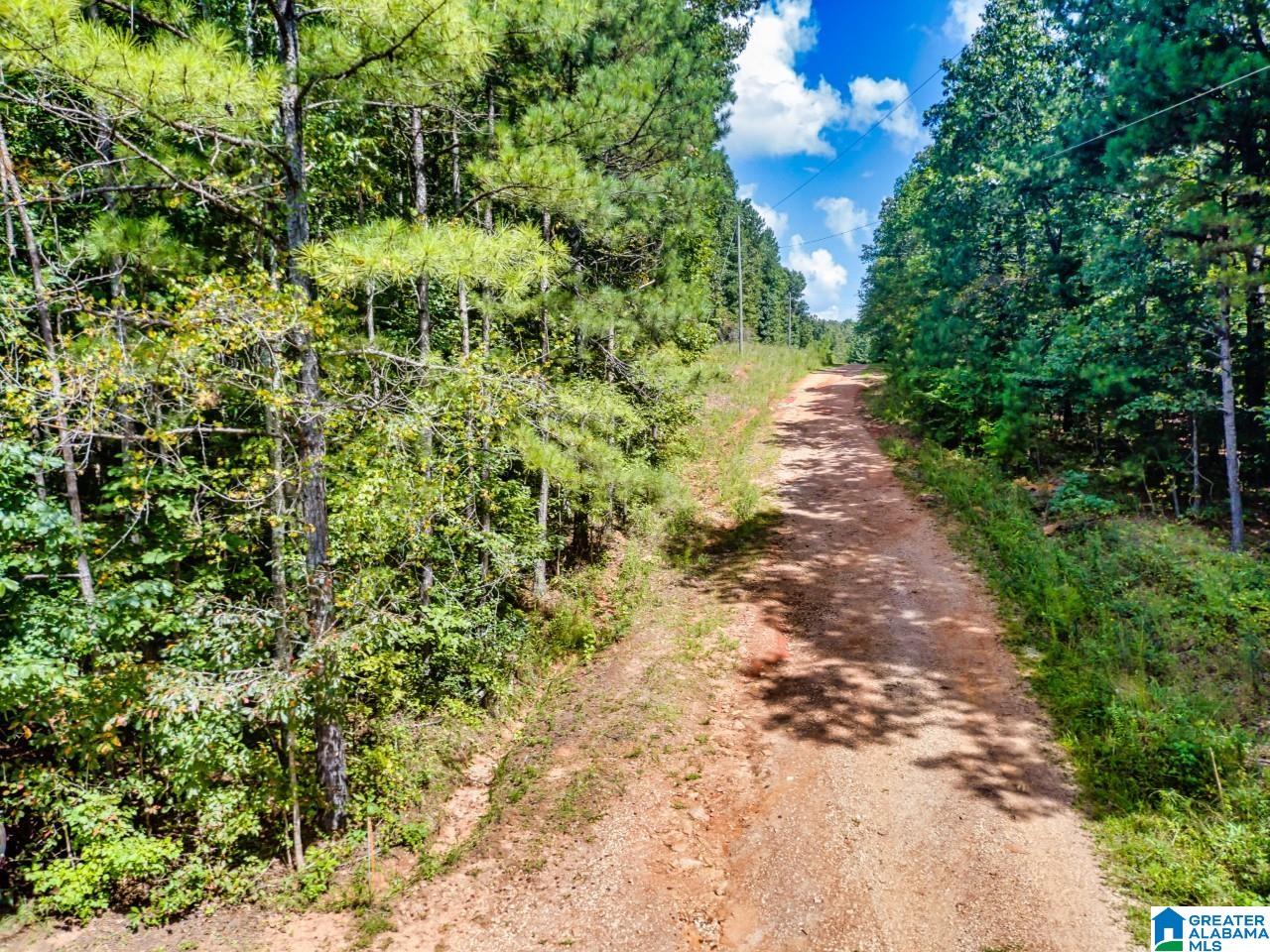 Pinetuckey Drive, Unit 10 Lineville, AL 36266 - Photo 3 of 7