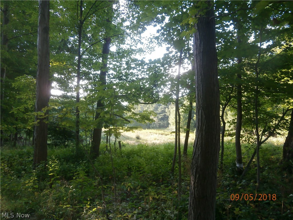 8344 Hart Road Mentor, OH 44060 - Photo 33 of 35 Gallery Image 33