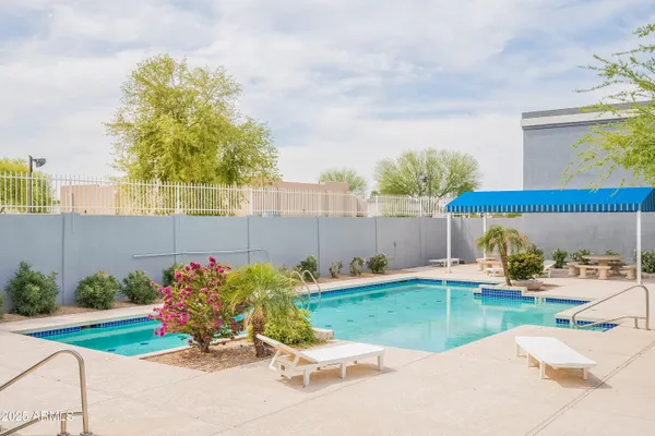 a view of a backyard with a garden and plants