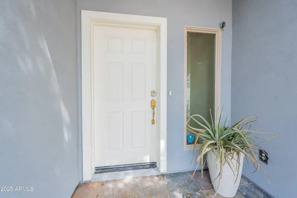a potted plant in a bathroom next to a window